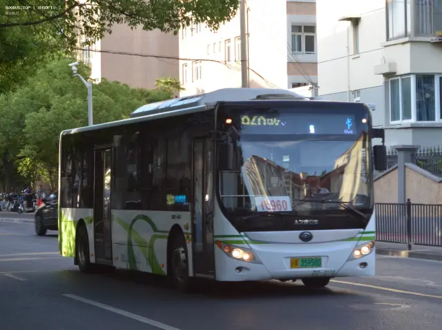 800BUS