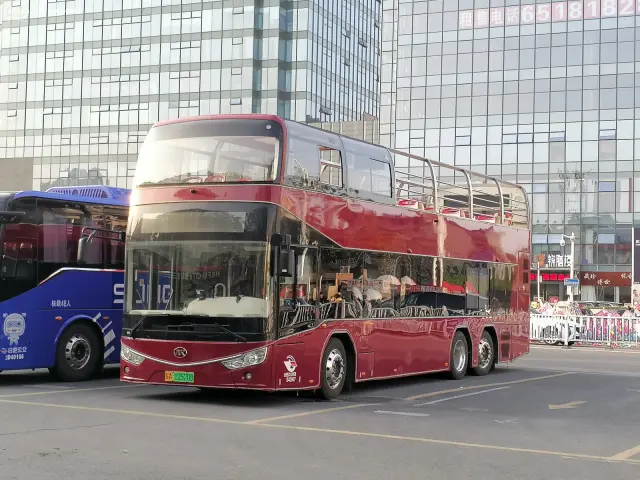 800BUS