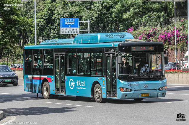渝D 30753