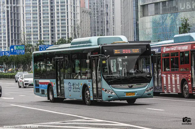 渝D 60955
