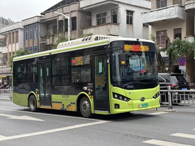 粤T04359D