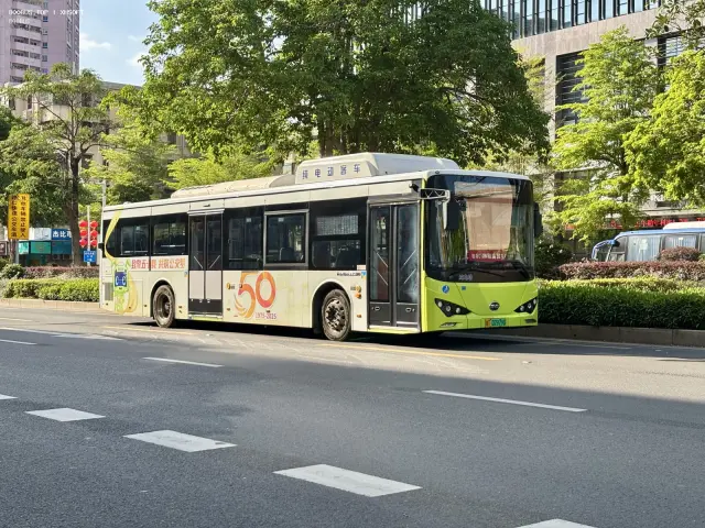 800BUS
