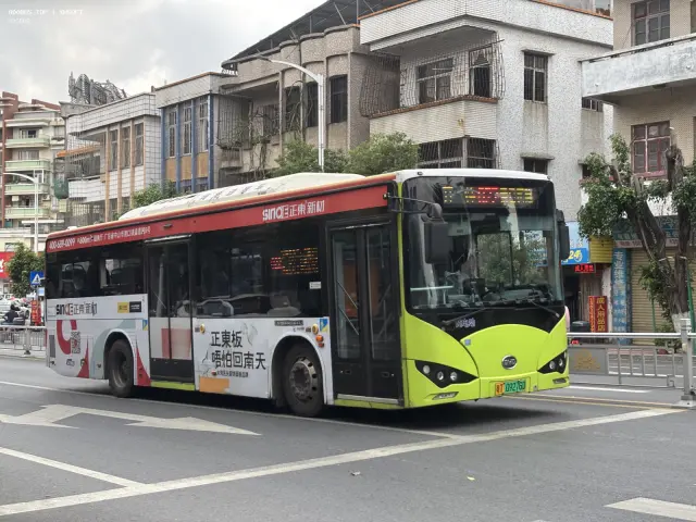 800BUS