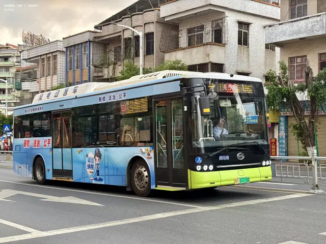 800BUS