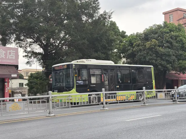 800BUS
