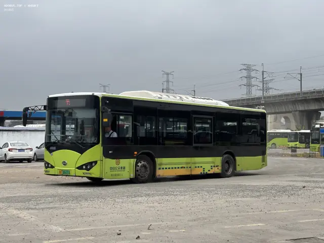 800BUS