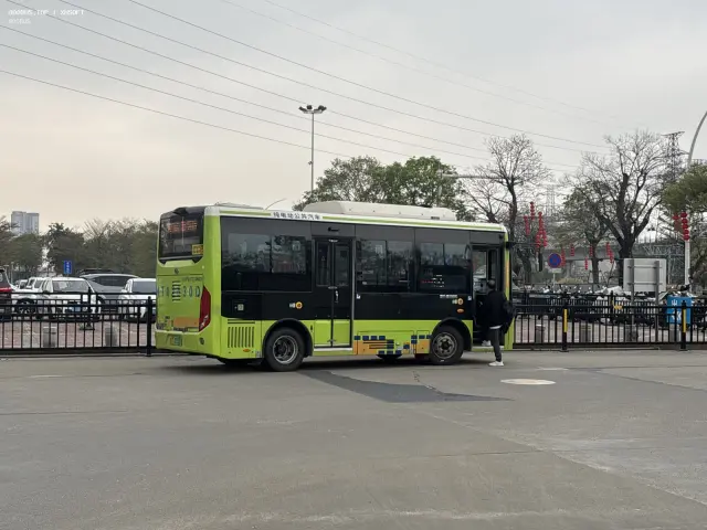 800BUS