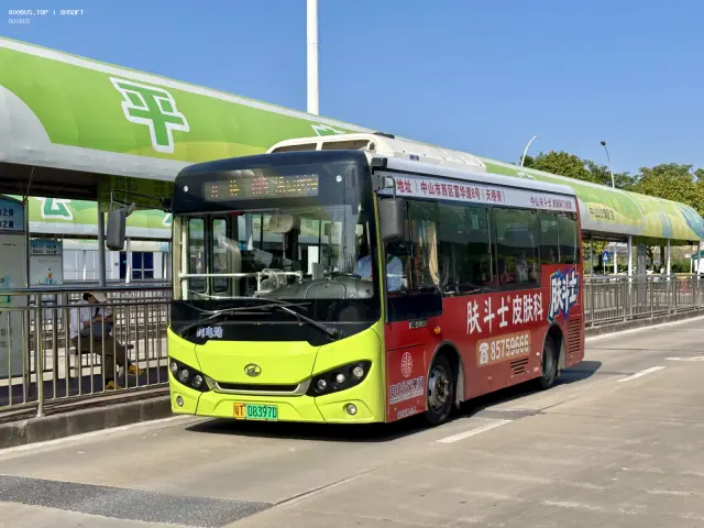 800BUS