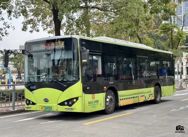 800BUS