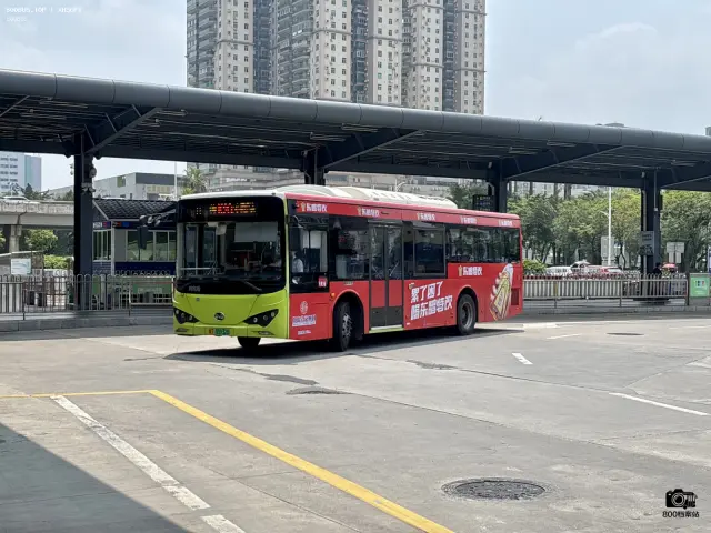 800BUS
