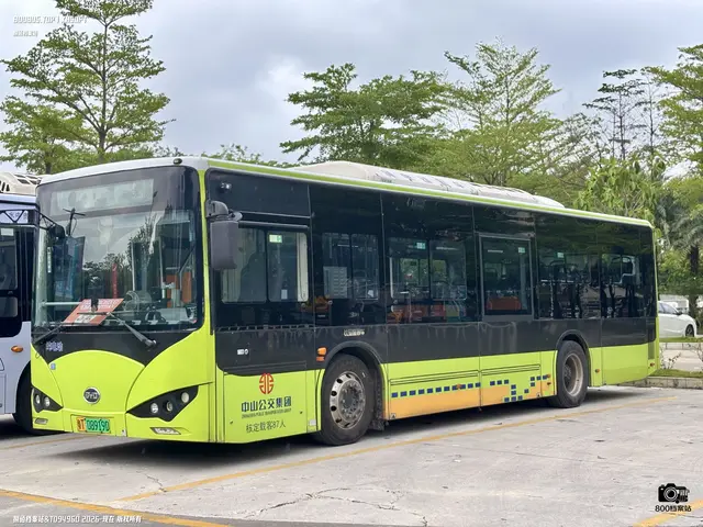 粤T 08919D