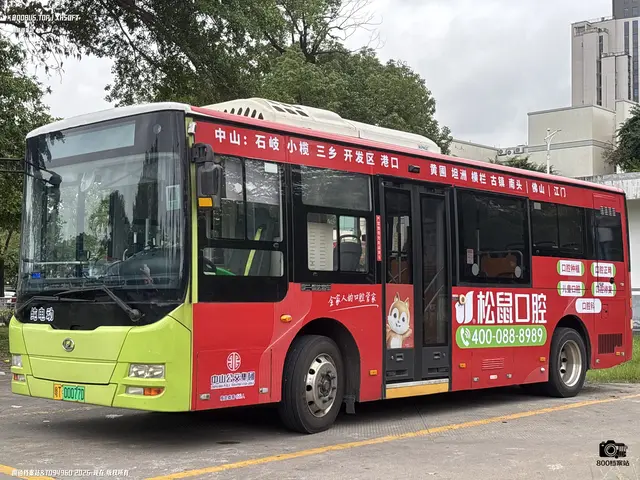 粤T 00077D