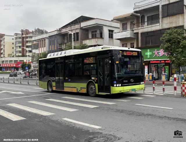 粤T 05477D