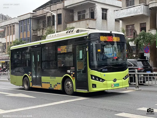 粤T 04359D