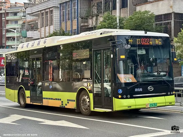 粤T 05636D