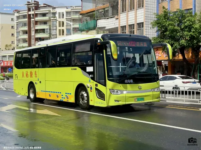 800BUS