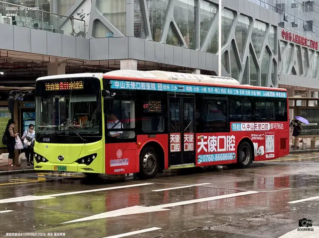 粤T 03669D