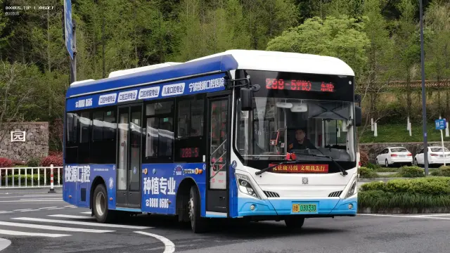 浙B 03033D