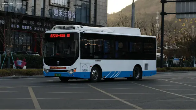 800BUS