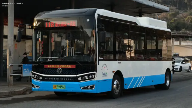 800BUS