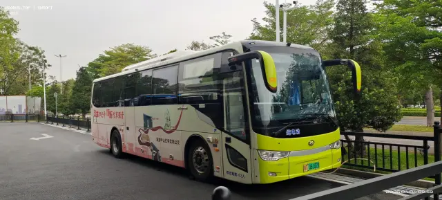粤T06182D