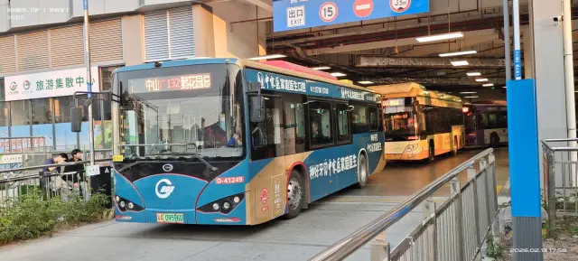 800BUS