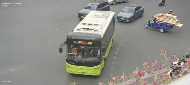 800BUS