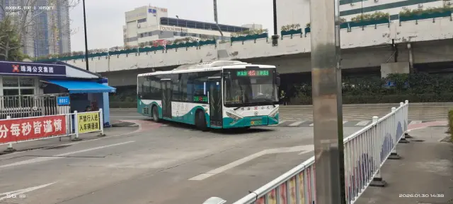 800BUS
