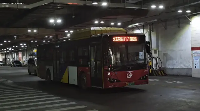 800BUS