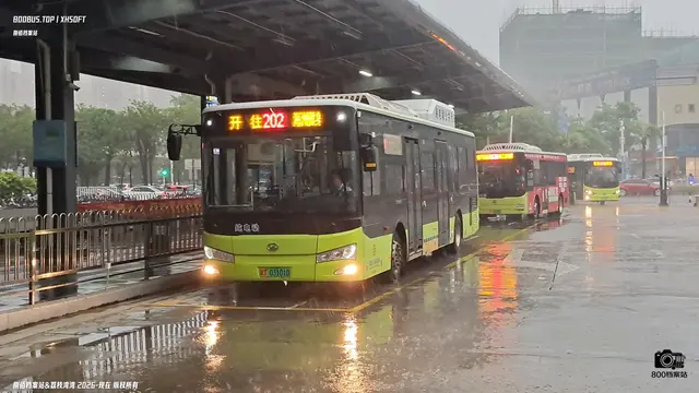 粤T 03101D