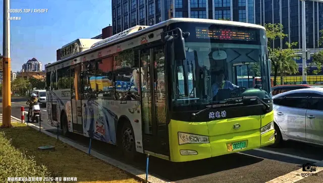 粤T 00311D