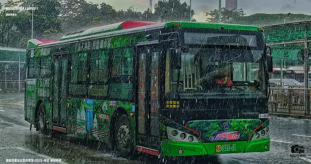 粤A 33737D