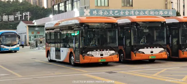 粤C 00120D