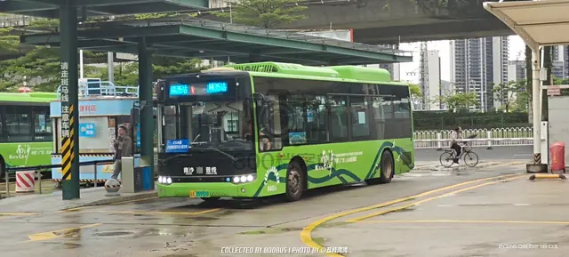 粤A 35951D