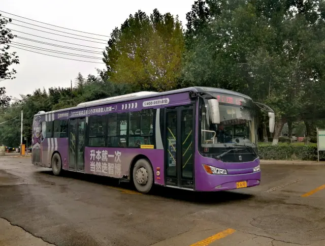 鲁AA6981
