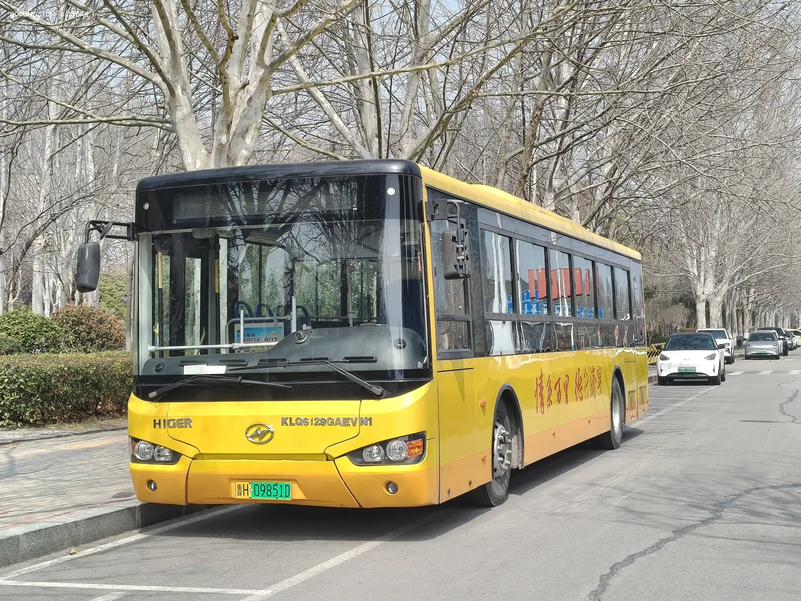 Bus Archive