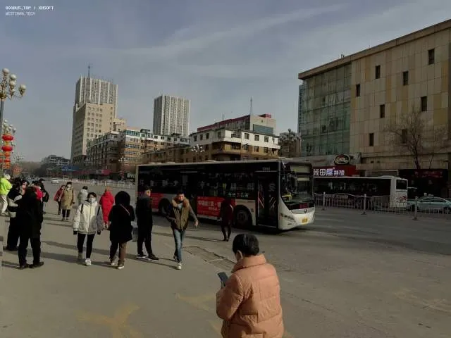 辽D•41493
