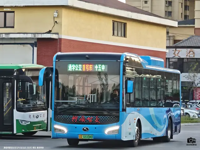 辽D 03334D