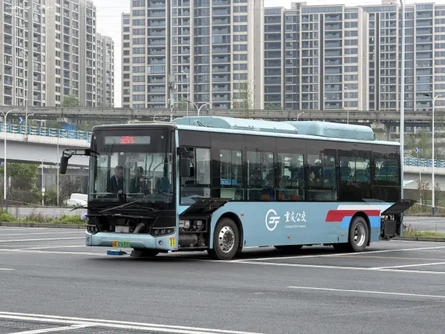 渝A 65692D