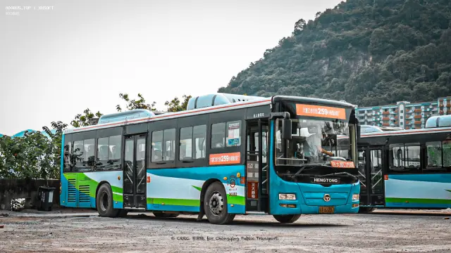 渝A62287