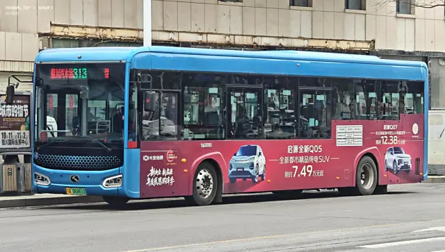 800BUS