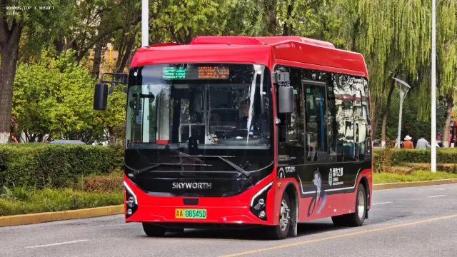 800BUS
