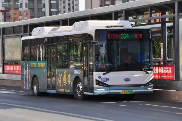 800BUS