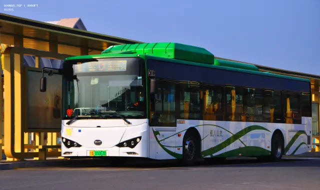 800BUS