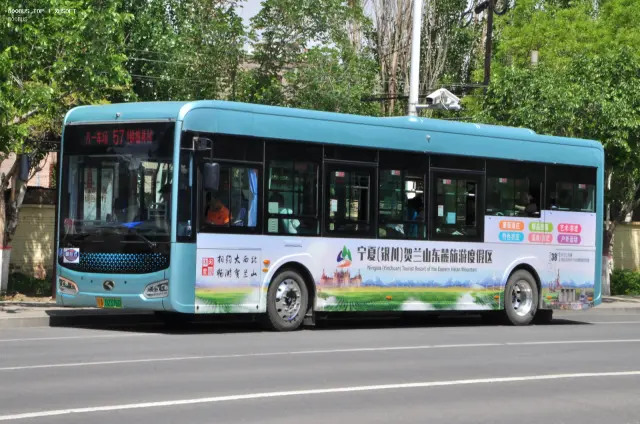 800BUS