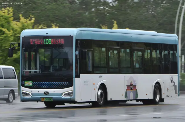 800BUS
