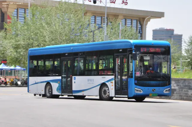 800BUS