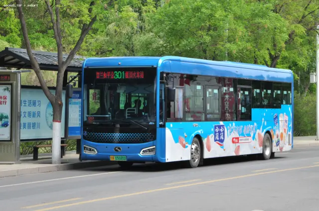 800BUS