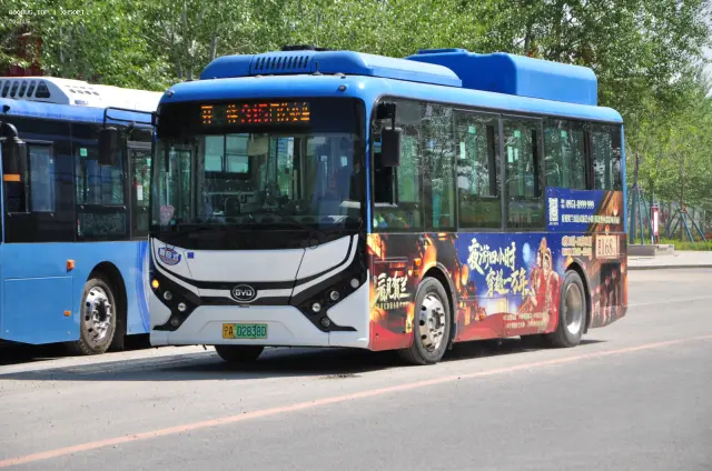 800BUS
