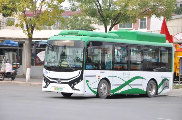 800BUS